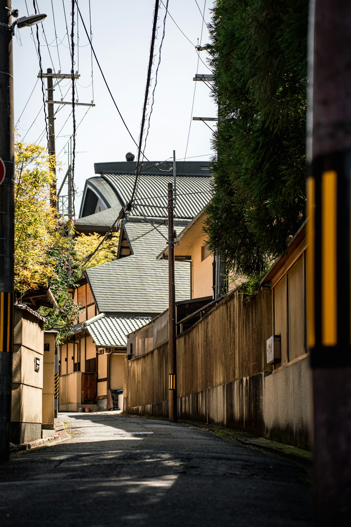 Narrow Japanese residential street with houses on both sides