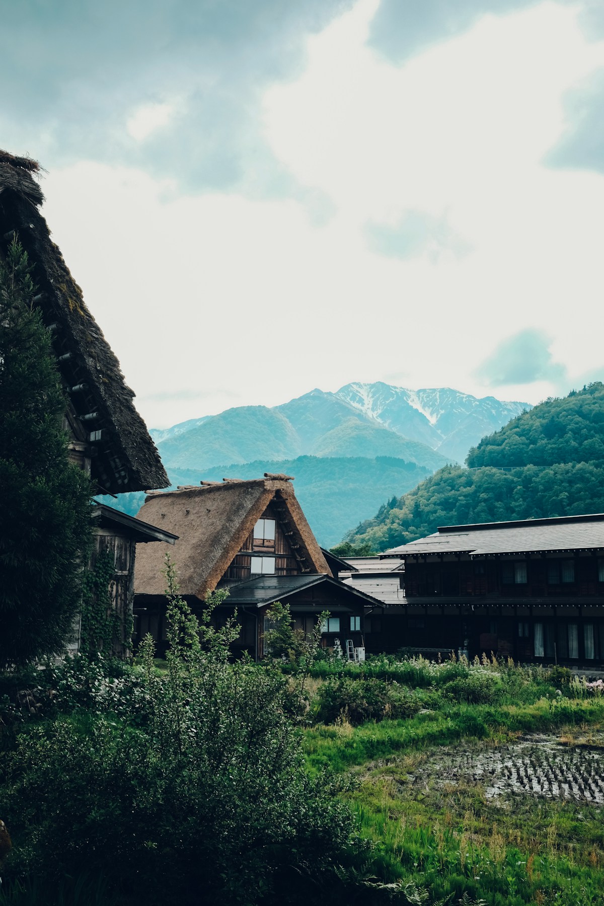 Rural Japanese houses nestled among trees in a countryside setting