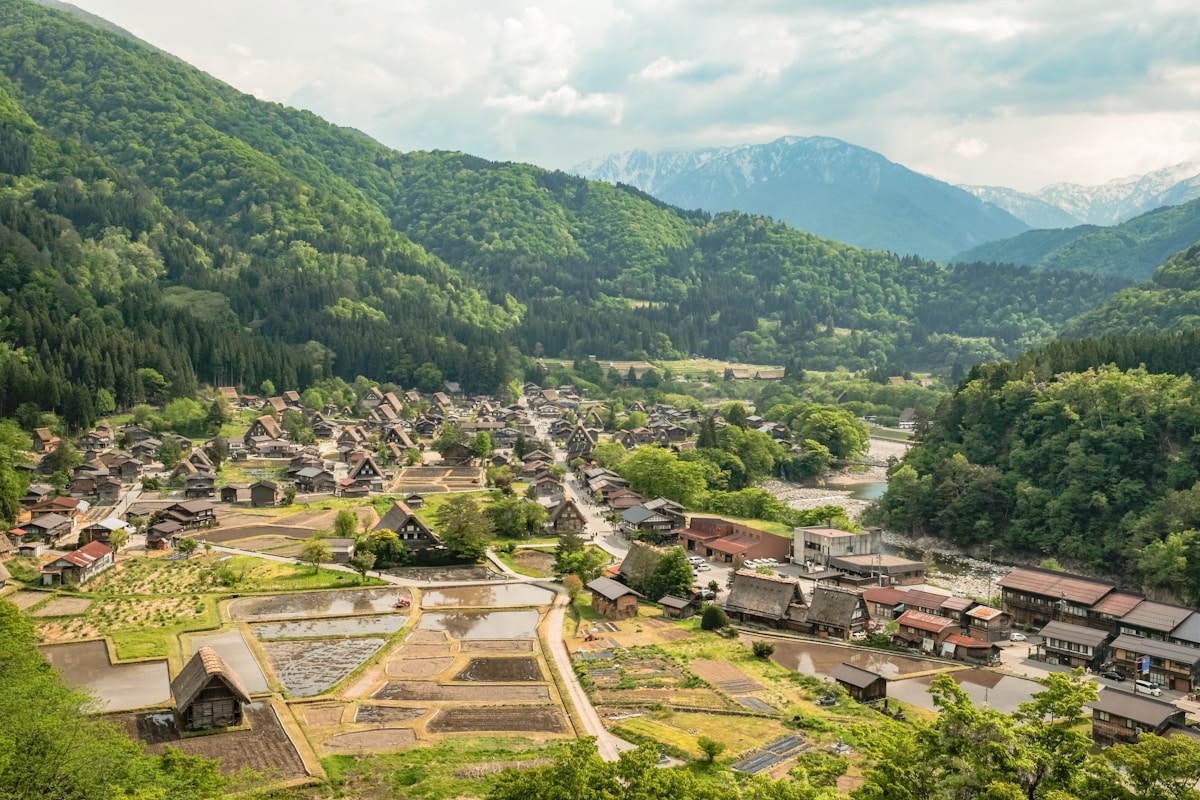 Houses and rice paddies in a valley with river in Shirakawa-go, Japan