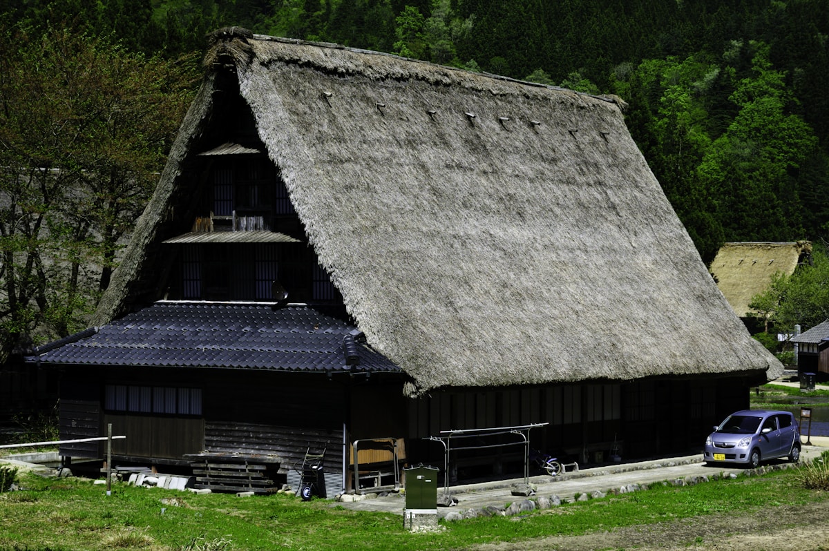 被树木环绕的传统日式茅草屋顶房屋