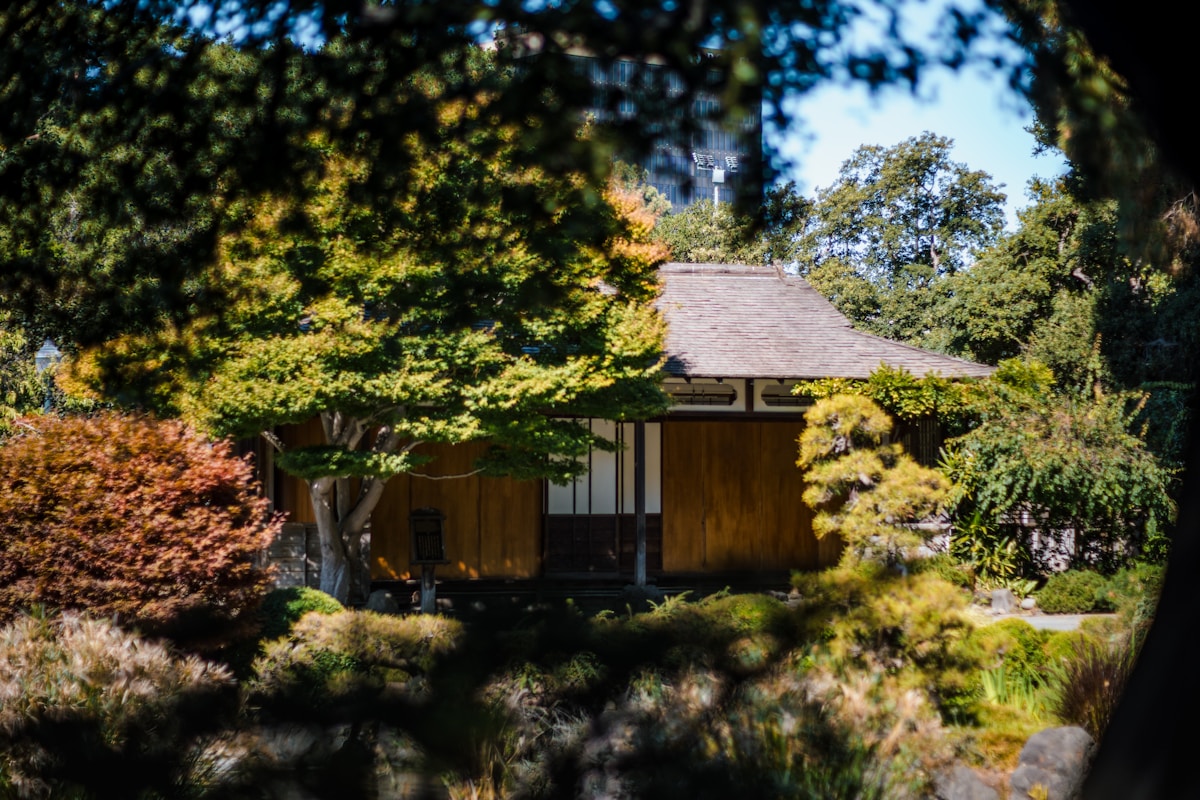 Traditional Japanese house surrounded by lush garden foliage