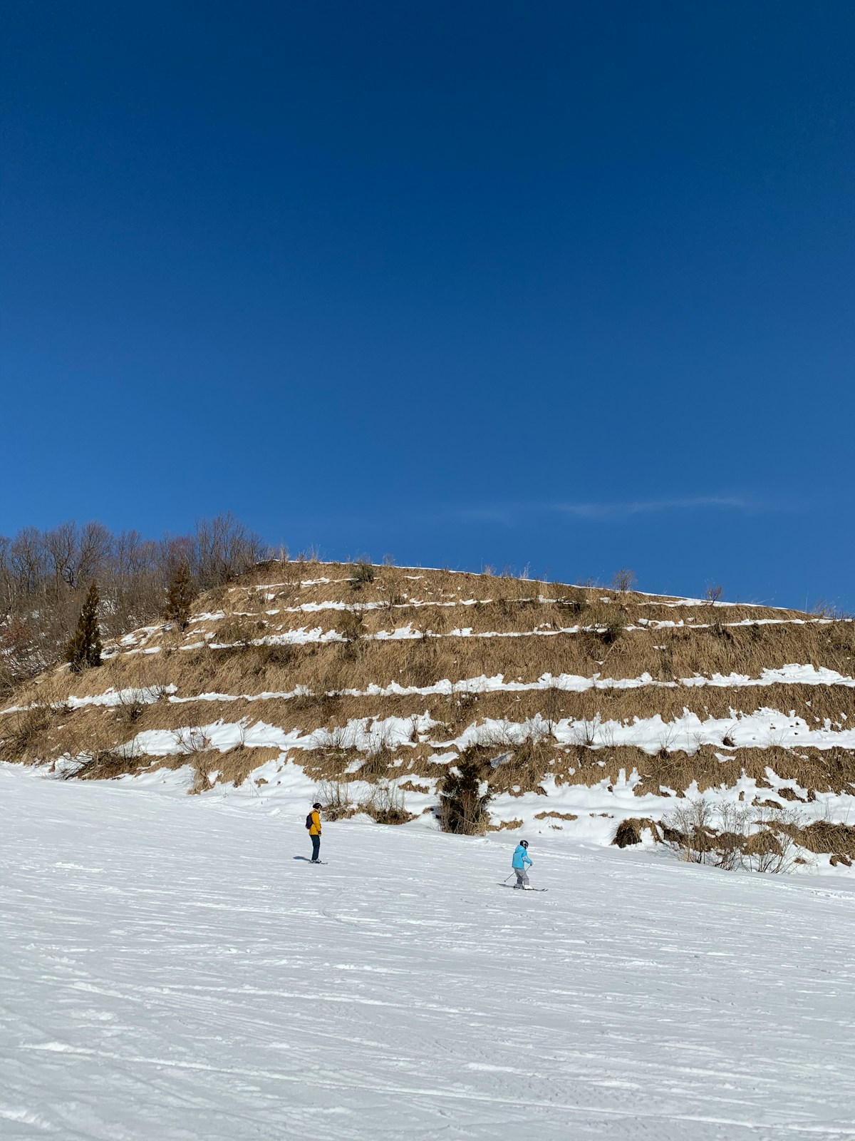 Skiers on a snow-covered slope in Niigata, Japan