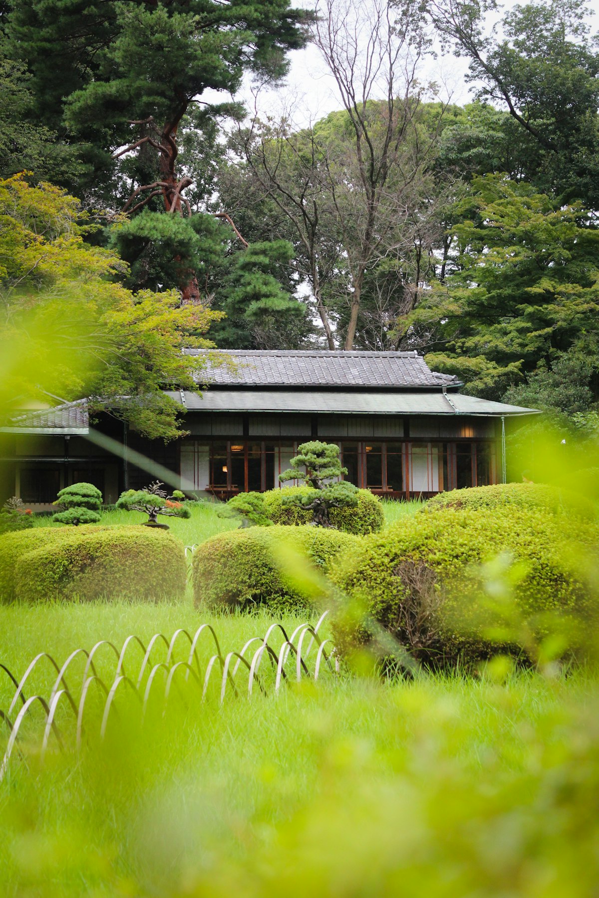 Traditional Japanese house surrounded by lush green garden foliage