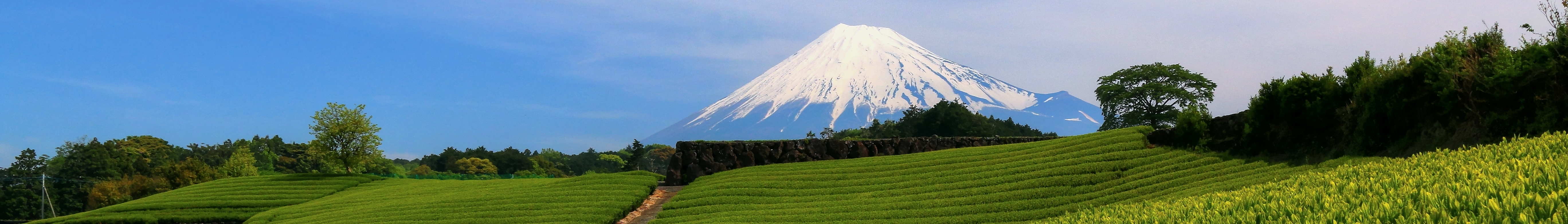 Property in Fuji, Japan