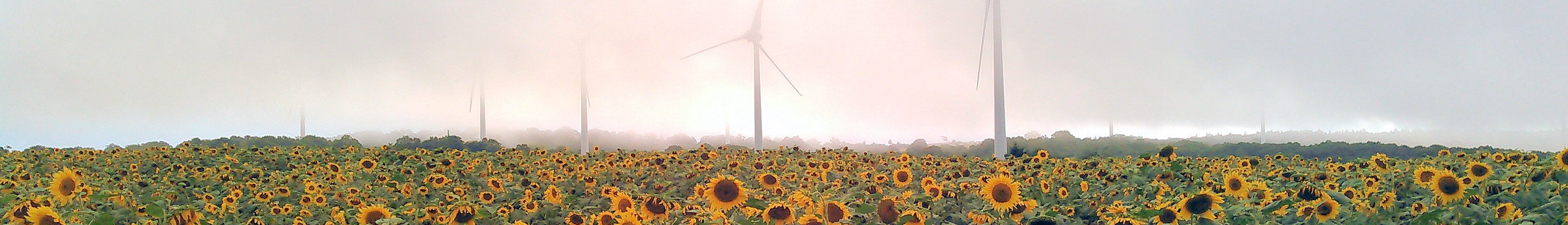 Property in Koriyama, Japan