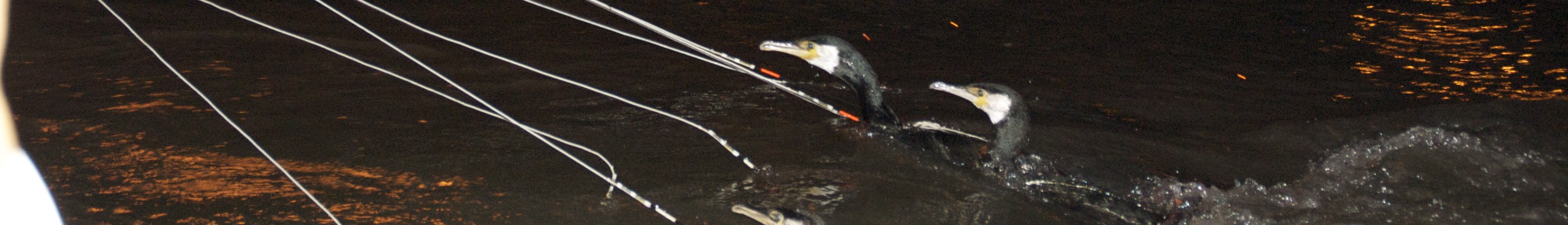 Property in Gifu, Japan