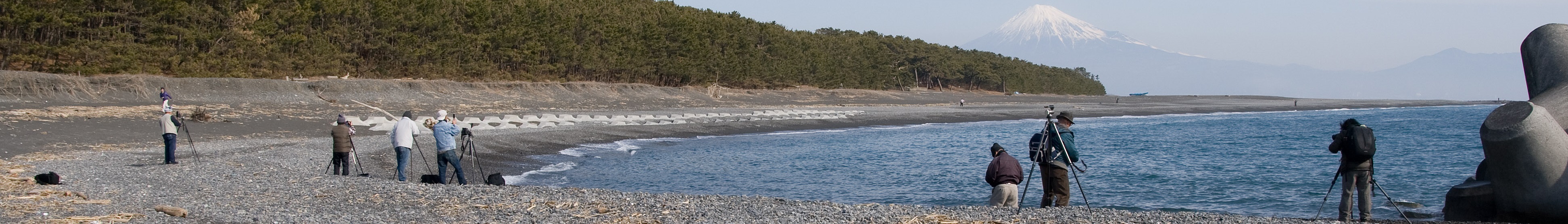 Property in Shizuoka, Japan