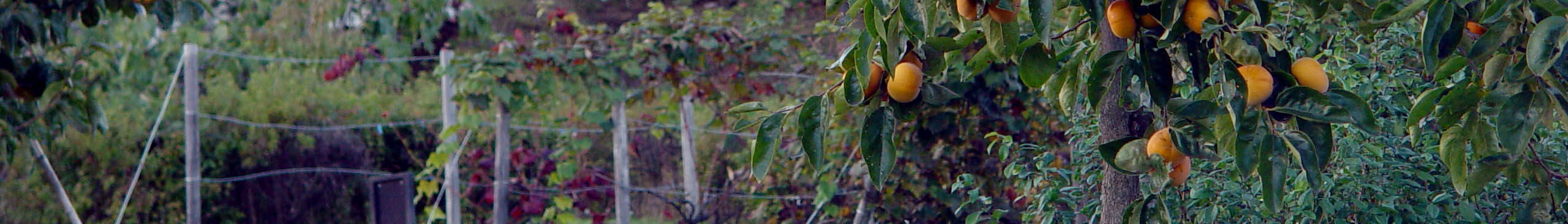 Property in Yamanashi, Japan