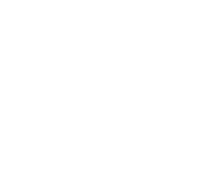 Akiya Japan Logo