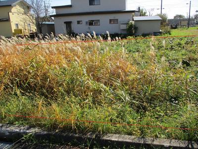 Shiranuka Town Vacant House Bank — Land, Shiranuka, Hokkaido