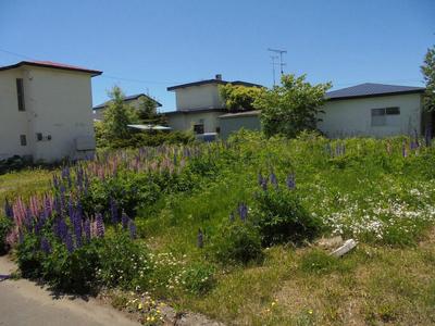 Shiranuka Town Vacant House Bank — Land, Shiranuka, Hokkaido