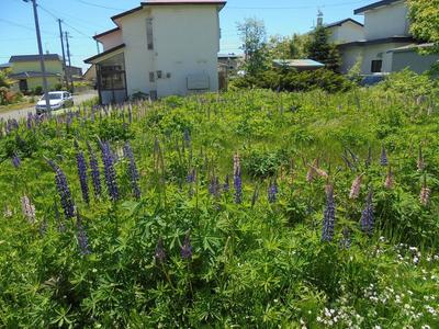 Shiranuka Town Vacant House Bank — Land, Shiranuka, Hokkaido