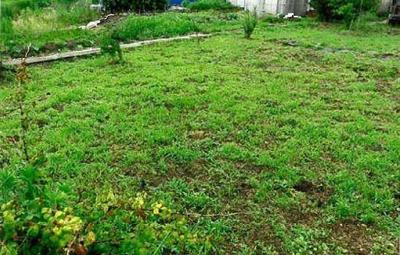 257.78m² Residential Land Plot in Oyabe City, Toyama Prefecture — Image 1, Oyabe, Toyama