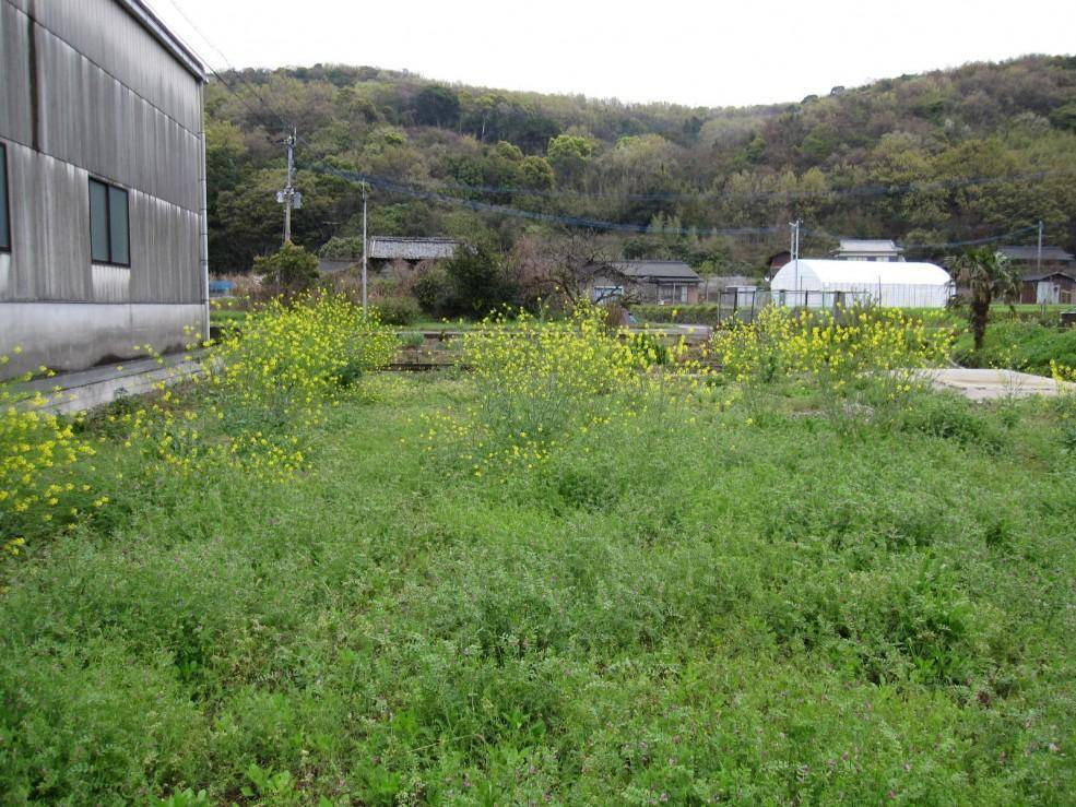 460sqm Corner Lot for Sale in Coastal Bungotakada, Oita - Thumbnail 2