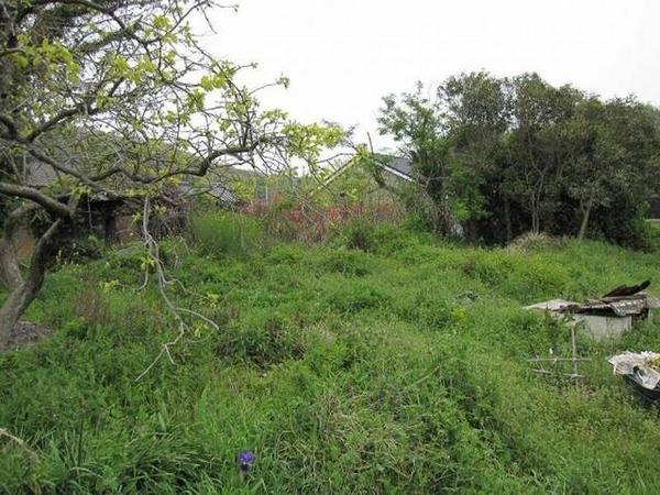 695sqm Land Plot in Usuno, Bungotakada - Corner Location with Utilities - Thumbnail 2
