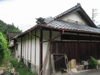 A green house surrounded by nature. — Image 4, Uchiko, Ehime