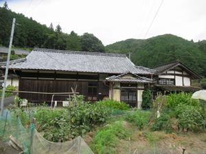 A green house surrounded by nature. — Image 1, Uchiko, Ehime