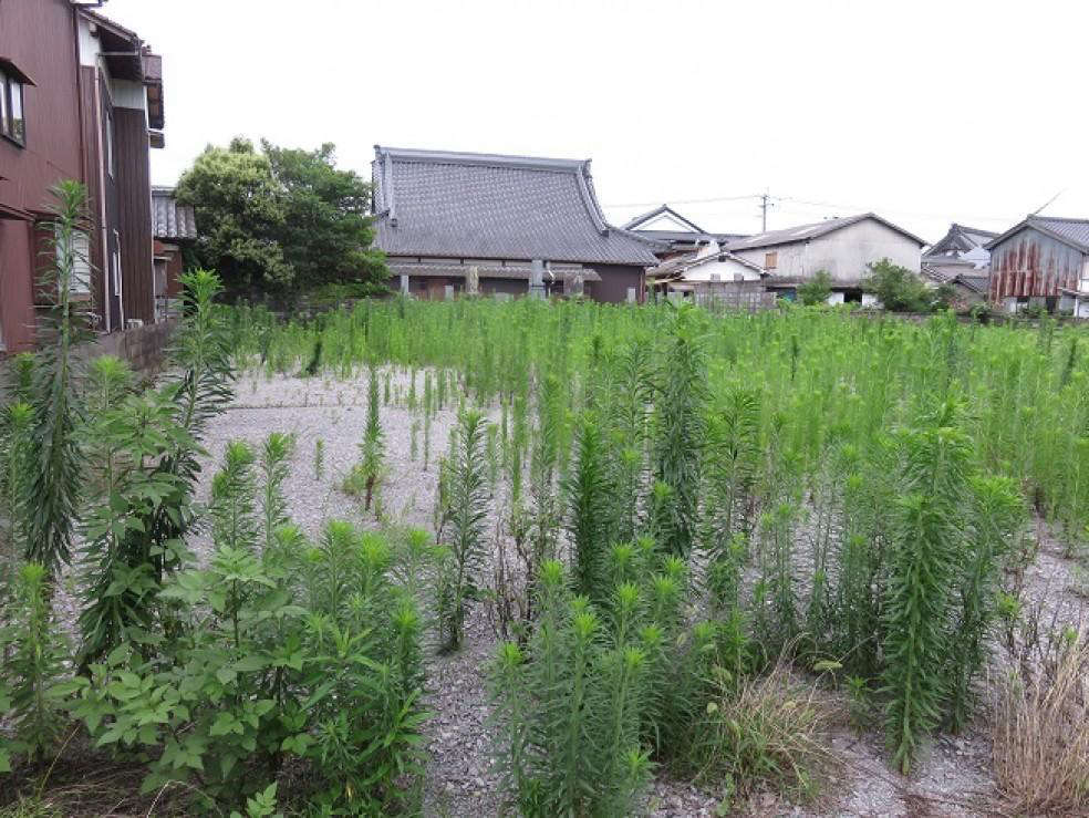 543m² Land Plot in Bungo Takada - Corner Lot with Full Utilities - Thumbnail 2