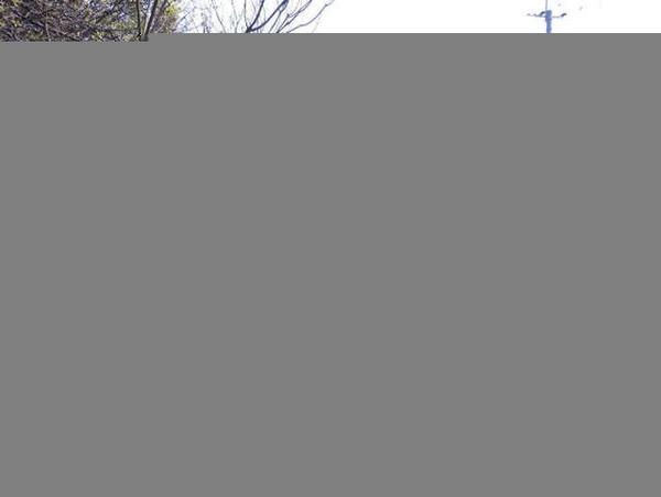 434㎡ Corner Land Plot in Kageji, Bungotakada City - Thumbnail 2