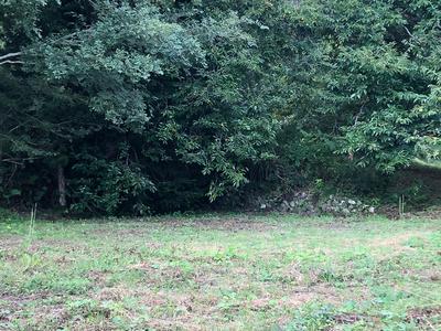 Along the sightseeing road with fields — Image 4, Nakagyo, Kyoto