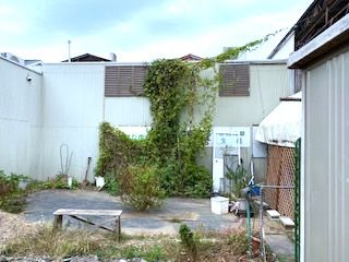 100 Yen Rental Flower Shop in Yokohama's Hamamarket Arcade