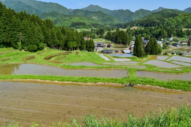 100 Yen Land Plot in Sanjo Niigata - 538 sqm Vacant Property - Thumbnail 3