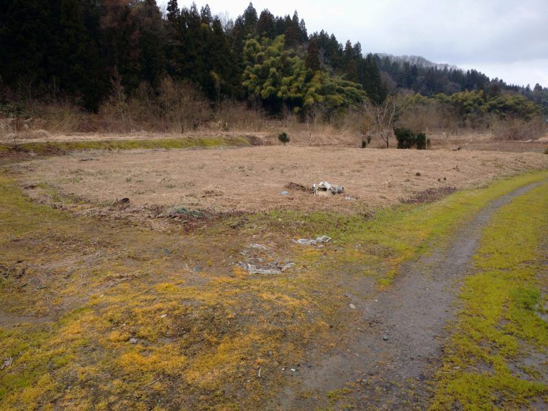 100 Yen Land Plot in Sanjo Niigata - 538 sqm Vacant Property - Thumbnail 4