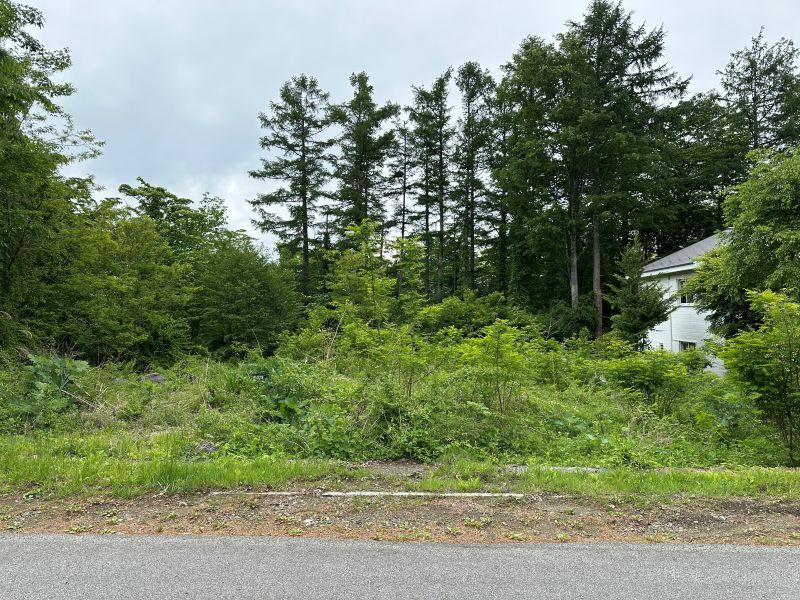 Land for Sale in Keio Fuji Subaru Highlands, Narusawa - Thumbnail 2