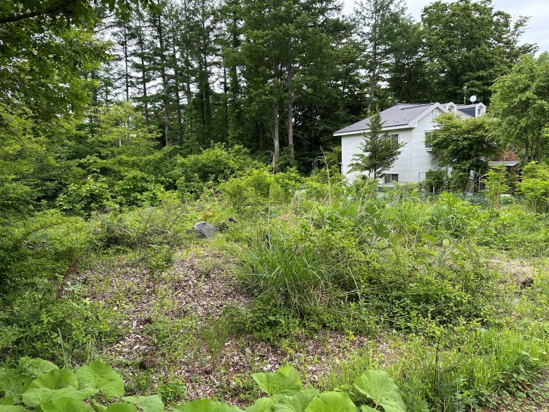 Land for Sale in Keio Fuji Subaru Highlands, Narusawa - Thumbnail 3