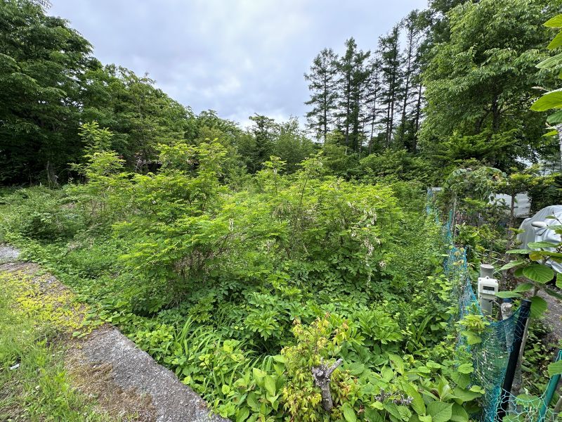 Land for Sale in Keio Fuji Subaru Highlands, Narusawa - Thumbnail 4