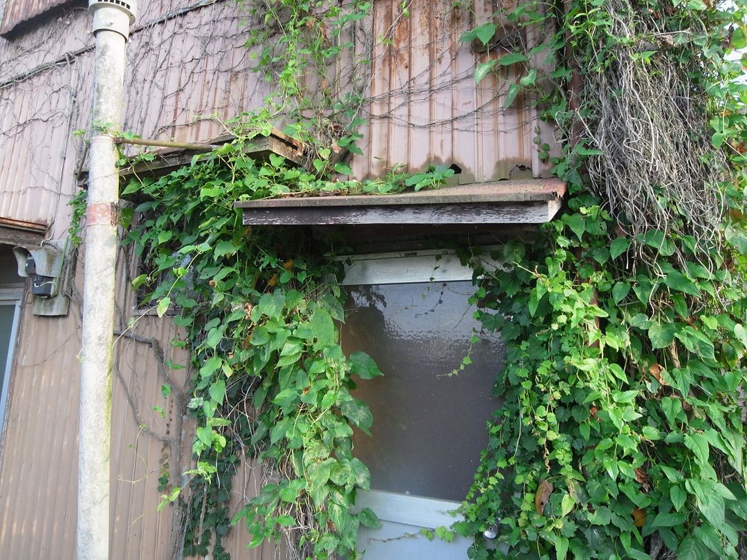 1 Million Yen 5DK House in Chikusei Ibaraki for Renovation - Thumbnail 3