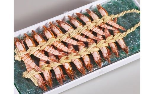 Ashikita Town Furusato Tax: Premium Frozen Ashia Shrimp 400g - Main Image