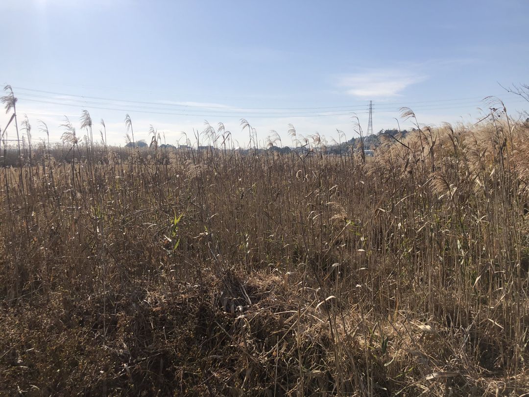 1020 sqm Vacant Land for Sale Near Oami Station, Chiba - Thumbnail 2