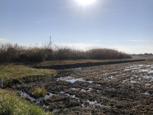 1020 sqm Vacant Land for Sale Near Oami Station, Chiba - Thumbnail 4