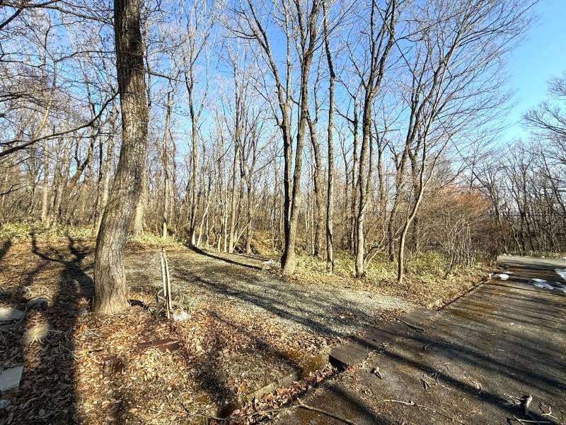 Land for Sale in Angel Forest Nasu Hakumondai, Tochigi - Thumbnail 2