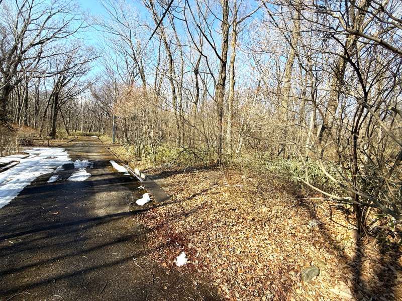 Land for Sale in Angel Forest Nasu Hakumondai, Tochigi - Thumbnail 3