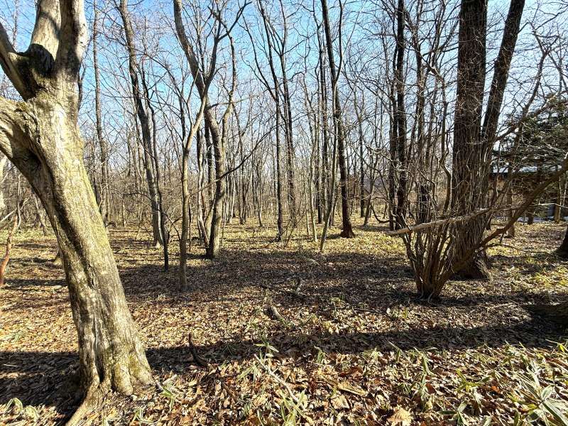 Land for Sale in Angel Forest Nasu Hakumondai, Tochigi - Thumbnail 4