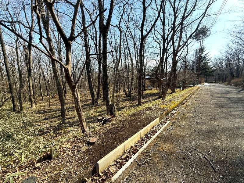 Land for Sale in Angel Forest Nasu Hakumondai, Tochigi - Thumbnail 3