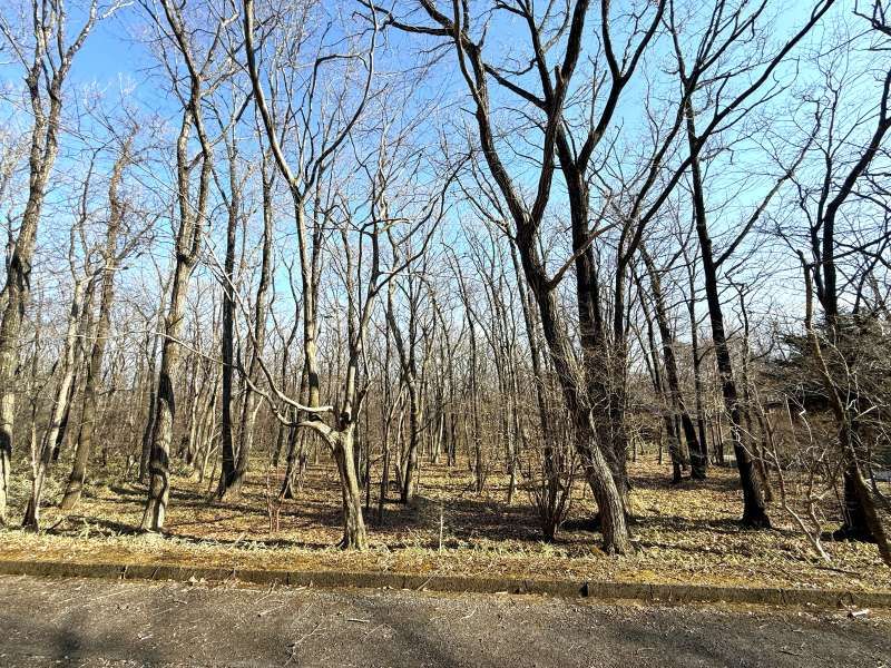 Land for Sale in Angel Forest Nasu Hakumondai, Tochigi - Thumbnail 2
