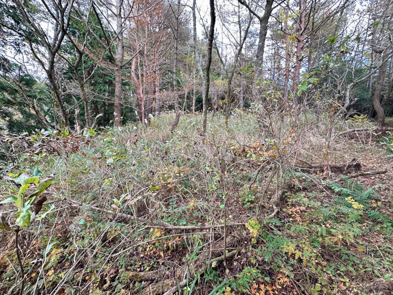 Land Plot in Izu Fujimi Highlands Komatsugahara Villa Area - Thumbnail 3