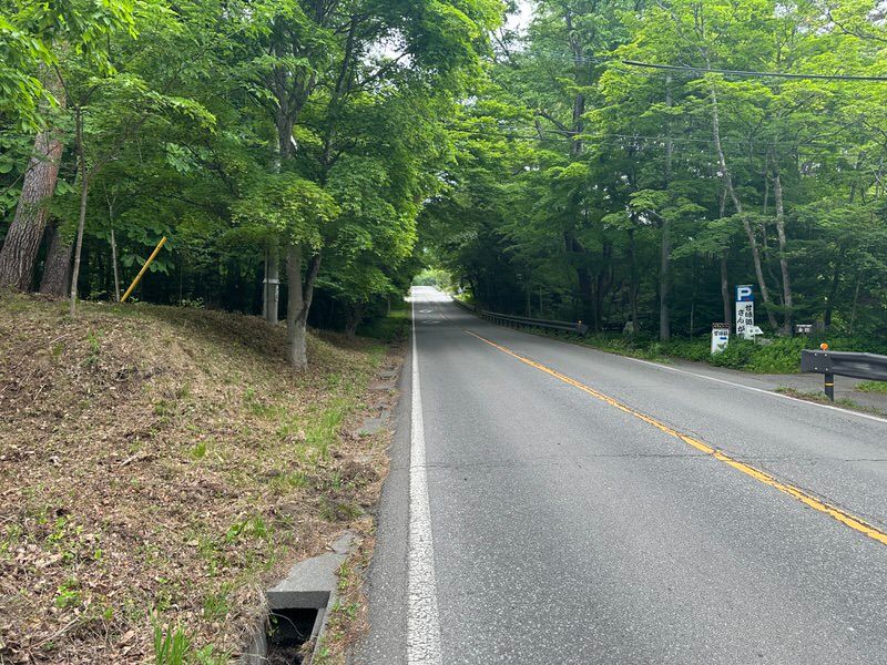 Land for Sale in Karuizawa, Nagano – 454m² Plot - Thumbnail 4