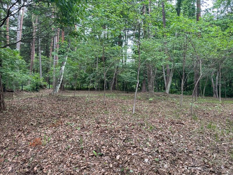 Land for Sale in Karuizawa, Nagano – 454m² Plot - Thumbnail 3