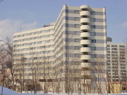 Pleasure Yuzawa 1R Resort Condo for Sale in Niigata Ski Area - Thumbnail 2