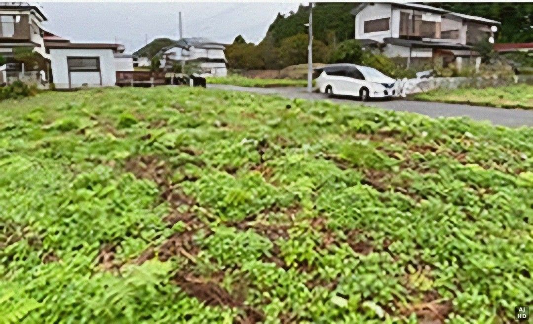 150 sqm Vacant Land for Sale in Nikko, Tochigi - 1 Million Yen - Thumbnail 4