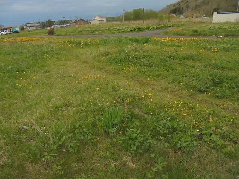 Vacant Land for Sale in Shiranuka Town, Hokkaido - 330 sqm - Thumbnail 3