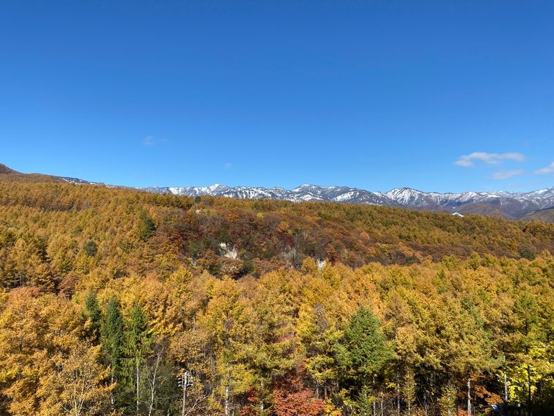 1LDK Condo in Adream Kusatsu with Onsen Access | Gunma - Thumbnail 2