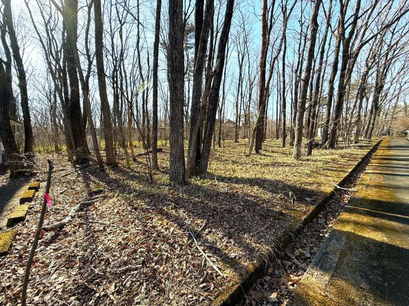 Land for Sale in Angel Forest Nasu Hakumondai, Tochigi - Thumbnail 2