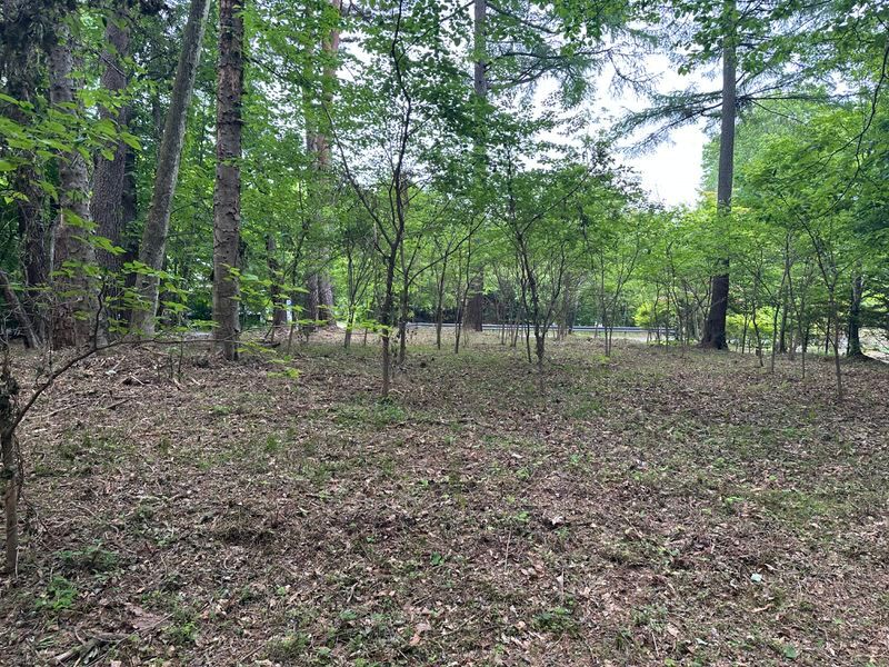 426.63 sqm Land for Sale in Naka-Karuizawa, Nagano - Thumbnail 3