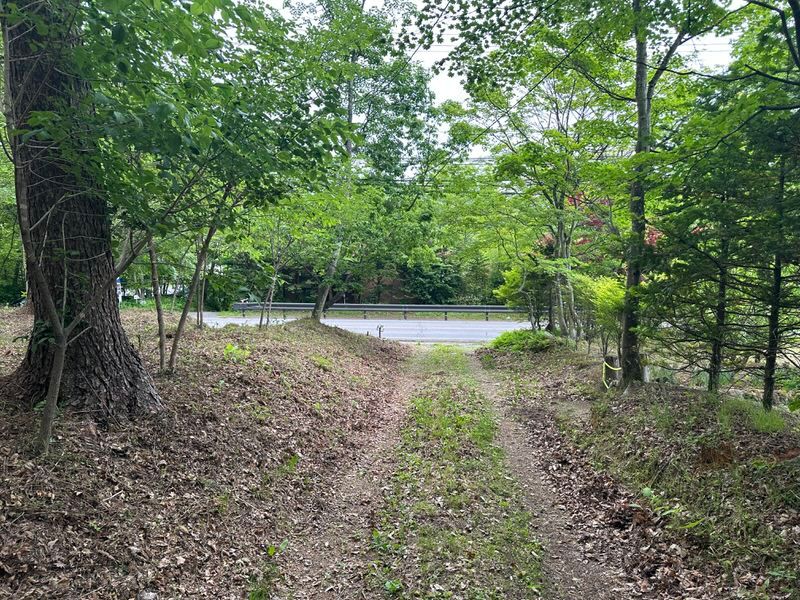426.63 sqm Land for Sale in Naka-Karuizawa, Nagano - Thumbnail 4