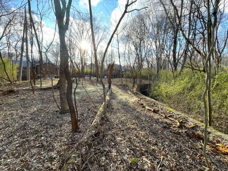 Land for Sale in Royal Valley, Nasu, Tochigi - Thumbnail 2